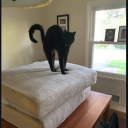 kassie-ramble avatar