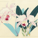 kastellet-blog avatar