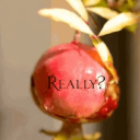 kata-chthonia avatar