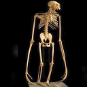 katalinathecat avatar