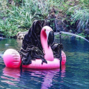 katastrofeee69 avatar