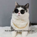 katastrophe-divine avatar