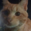 katastrophe-z avatar