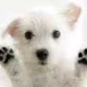 katastrophizing avatar