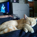 katboomtheanti avatar