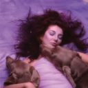 katebushhoundsoflove avatar