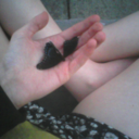 katepulley-blog avatar