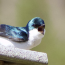 kates-photography avatar