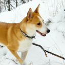 katherinakaina avatar