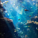 katherinekitket avatar