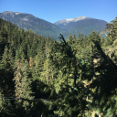 katherinelhunt avatar