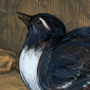 kathrynmweaver avatar