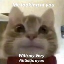 kathy-god-of-chaos avatar