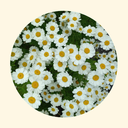 katieheadonportfolio avatar