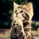 katieparker110 avatar