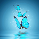 katillerdeaglar avatar