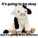 katkat-reblogs avatar