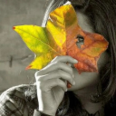 katotoka-blog-worlds avatar