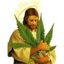 kattaraxxx-blog avatar