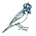 katvonbirb avatar