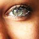 katyadiekatze avatar