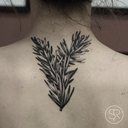 katydrake-blog avatar