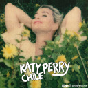 katyperrychile avatar