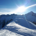 katz-and-cats-blog avatar