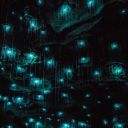 katzkreationz avatar