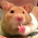 kawaii-satan-trash avatar