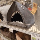 kawaii-sharky avatar