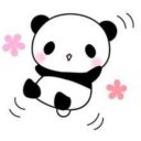 kawaiichan8908-blog avatar