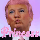 kawaiitrump avatar