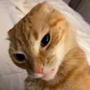 kaya16universe avatar