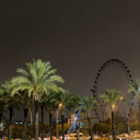 kaybettimbahceleri avatar