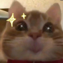 kaybolurumgulusundeh avatar