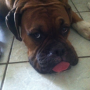 kaydenpat-blog avatar