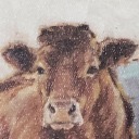 kaye-go-moo avatar