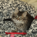 kaykaycbaybay avatar