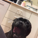 kayla-is-crying avatar