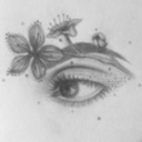 kaylalilm avatar