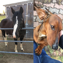 kaylameyers626 avatar