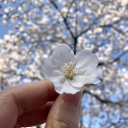 kaylie-creates avatar