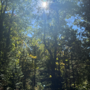 kaylizardsmith avatar