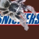 kayokos-villain-imagines avatar