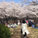 kazama0211-blog avatar