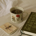 kazthropology avatar