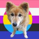 kazumiroleplay avatar