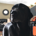 kcatalfimo-blog avatar