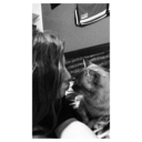 kcmhxo avatar